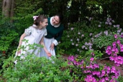 Secret Garden